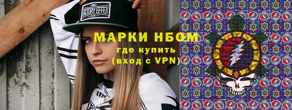 apvp Алзамай