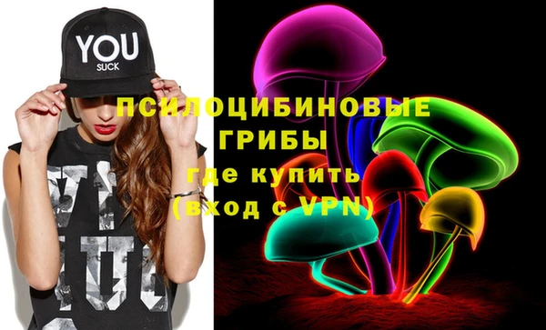 apvp Алзамай