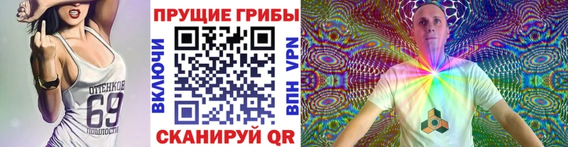 Псилоцибиновые грибы прущие грибы  kraken вход  Электрогорск 