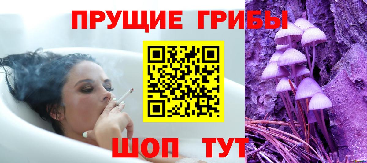 Электрогорск  Галлюциногенные грибы мухоморы  Вход с VPN  Псилоцибиновые грибы Magic Shrooms 