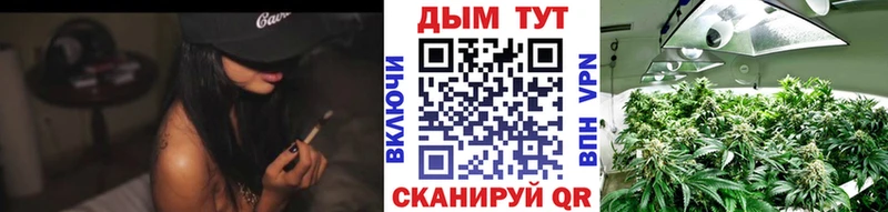 как найти закладки  Электрогорск  Бошки Шишки конопля 