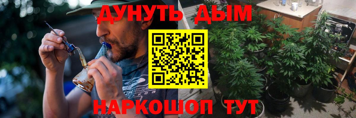 Бошки Шишки VHQ  Вход с VPN  Электрогорск  Бошки марихуана сатива  Шишки марихуана SATIVA & INDICA  МАРИХУАНА VHQ 